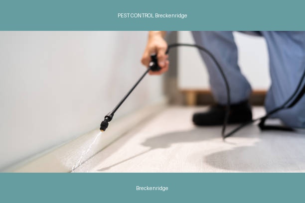 PEST CONTROL Breckenridge